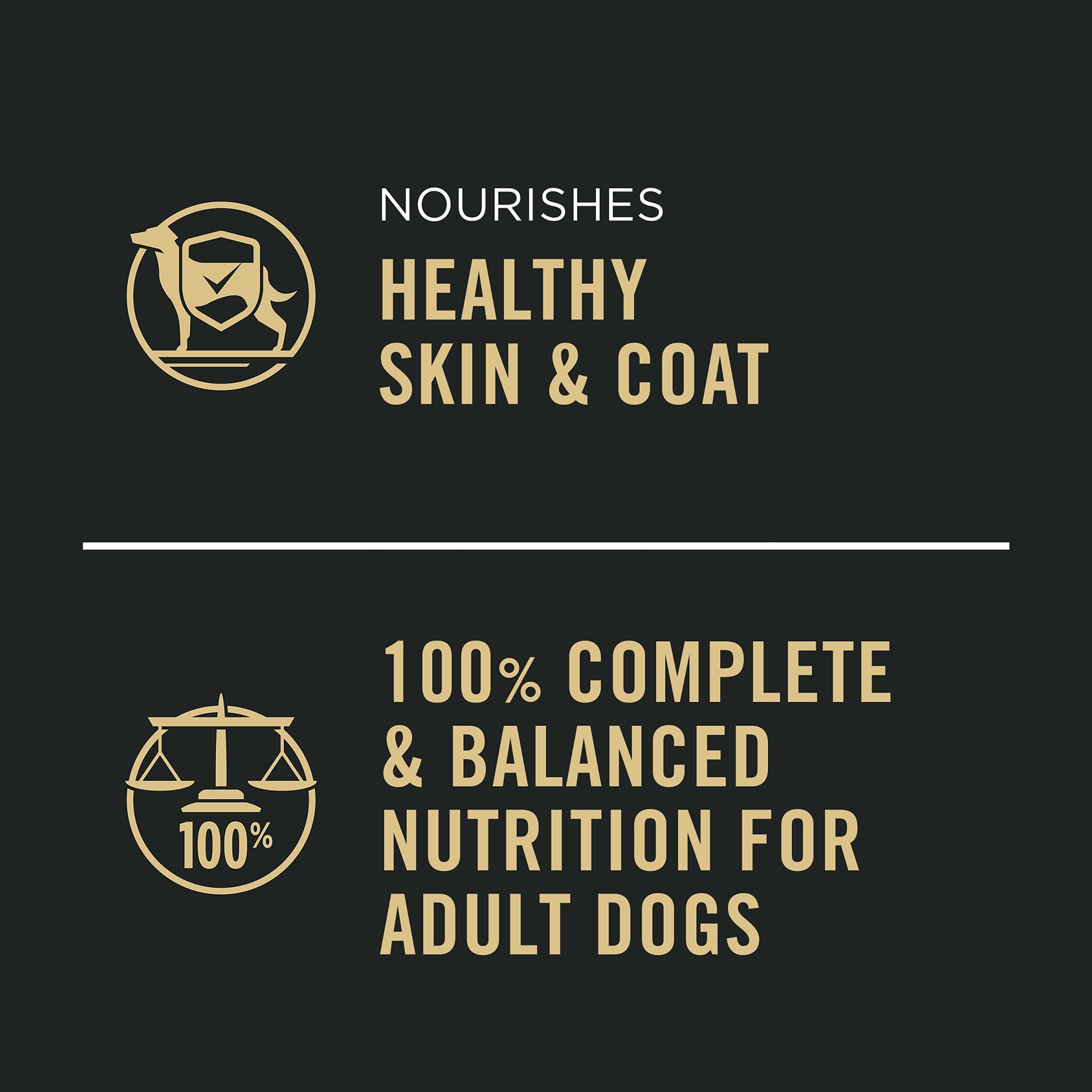 Purina Pro Plan Complete Essentials Adult Wet Dog Food – Chicken & Vegetables - Image 5