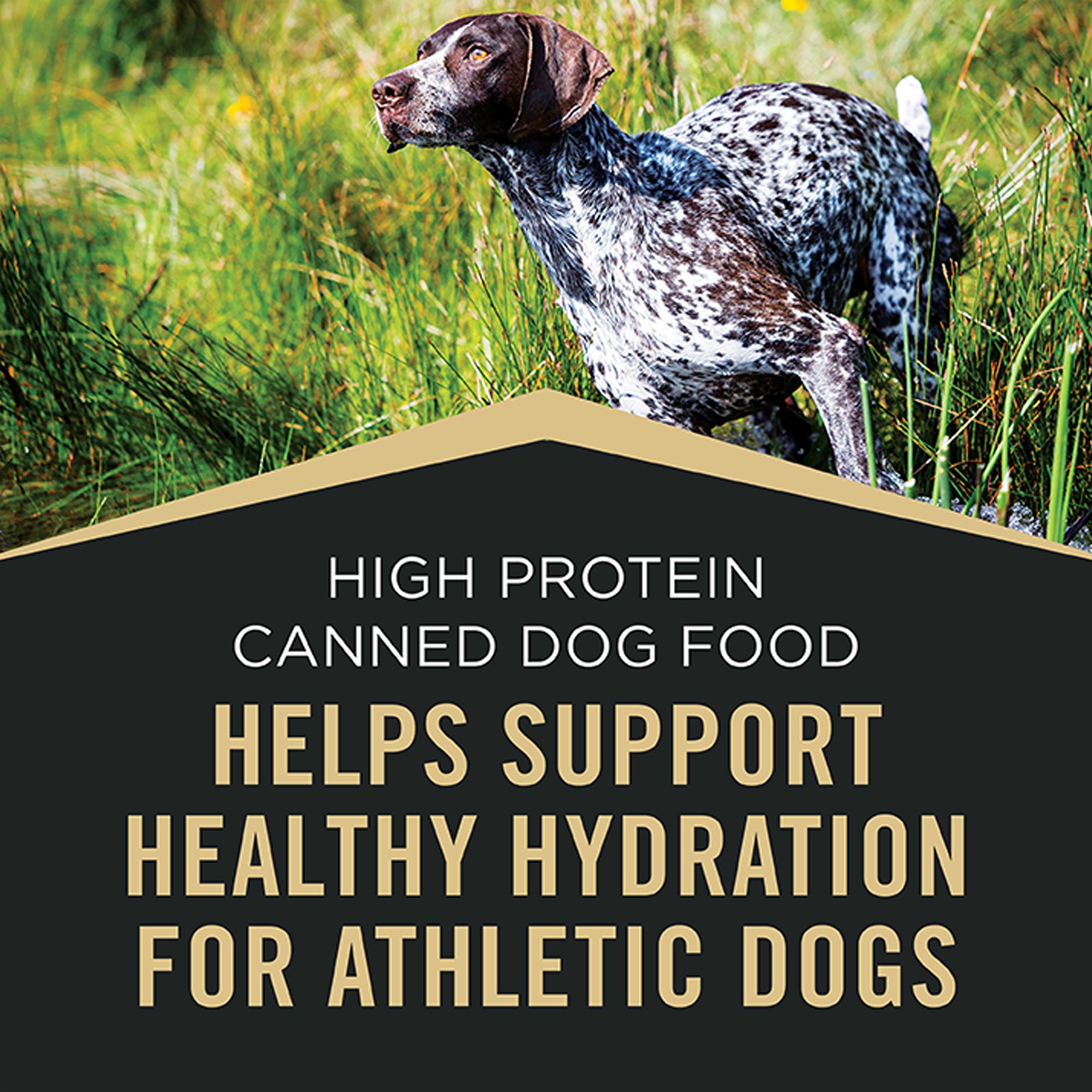 Purina Pro Plan Sport High Protein Adult Wet Dog Food - Beef & Bison, - Image 5
