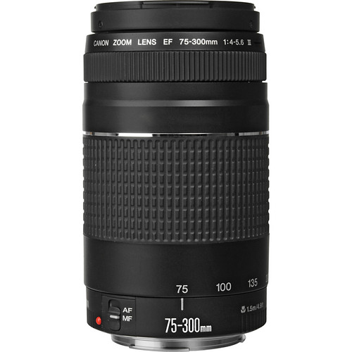 Canon EF 75-300mm f/4-5.6 III Lens - Image 2