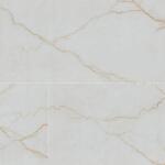 MSI Amari Gold 24 in. x 48 in. Polished Porcelain Floor and Wall Tile (24 sq. ft. /Case) (NHDAMAGOL2448P)