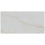 MSI Amari Gold 24 in. x 48 in. Polished Porcelain Floor and Wall Tile (24 sq. ft. /Case) (NHDAMAGOL2448P)