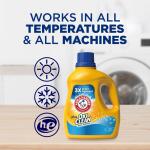 ARM & HAMMER Fresh Scent Plus OxiClean Liquid Laundry Detergent, 100.5 oz. (77 Loads) (00260)