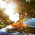 Armor All 20 oz. Tire Foam Protectant (40320)