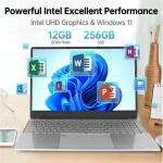 Ccdes 15.6" Laptop, Intel N5095 Quad-Core, 12GB RAM, 256GB SSD, FHD IPS, Backlit Keyboard, Windows 11, Silver