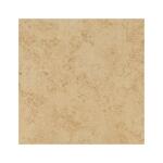 TrafficMaster Baja Beige 12 in. x 12 in. Matte Ceramic Floor and Wall Tile (15 sq. ft./Case) (NHDBAJBEI1212C)