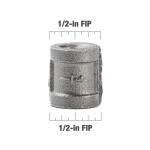 Southland 1/2 in. Black Malleable Iron FPT x FPT Coupling Fitting (521-203HN)