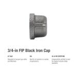 Southland 3/4 in. Black Malleable Iron FIP Cap Fitting (521-404HN)