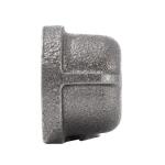 Southland 3/4 in. Black Malleable Iron FIP Cap Fitting (521-404HN)