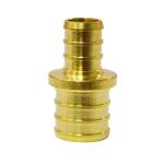 Apollo 3/4 in. x 1/2 in. Brass PEX-B Barb Reducing Coupling (APXC1234)