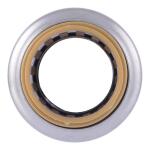 SharkBite Max 1/2 in. Brass Push-to-Connect Coupling Fitting (UR008A)