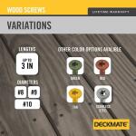 DECKMATE #9 3 in. Black Exterior Self-Starting Torx Drive Flat-Head Deck Screw (5 lbs. / 365-Piece) (115926)