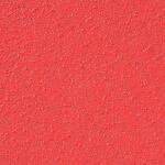 DIABLO 80-Grit Hook and Lock ROS Sanding Discs 5 in. (DCD050080H50G)