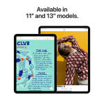 Apple 13" iPad Air M3, Wi-Fi + 5G