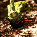 ECHO 0.095 in. x 846 ft. Medium Spool Cross-Fire Trimmer Line (314095053)