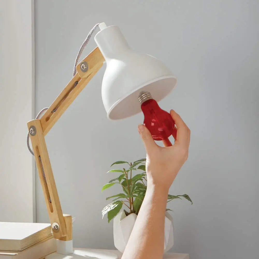 EcoSmart 40-Watt Equivalent A19 Dimmable Filament Red Colored Glass LED Light Bulb - 1 Pack