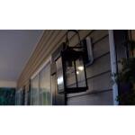 EcoSmart 60-Watt Equivalent A19 Dimmable CEC Dusk to Dawn Clear Glass Filament LED Light Bulb Soft White (11CFA1960WDTD01)