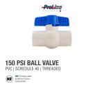 Everbilt 3/4 in. x 3/4 in. Sch. 40 PVC FPT x FPT Threaded Ball Valve (107-134HC)