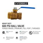 Everbilt 1/2 in. Brass FPT Full Port Threaded Ball Valve (107-403EB)
