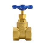 Everbilt 3/4 in. x 3/4 in. Brass FPT Compact-Pattern Threaded Gate Valve (100-404EB)