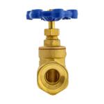Everbilt 1 in. x 1 in. Brass FPT Compact-Pattern Threaded Gate Valve (100-405EB)