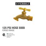Everbilt 1/2 in. x 1/2 in. MIP Brass Hose Bibb Valve (103-003EB)