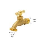 Everbilt 1/2 in. x 1/2 in. MIP Brass Hose Bibb Valve (103-003EB)