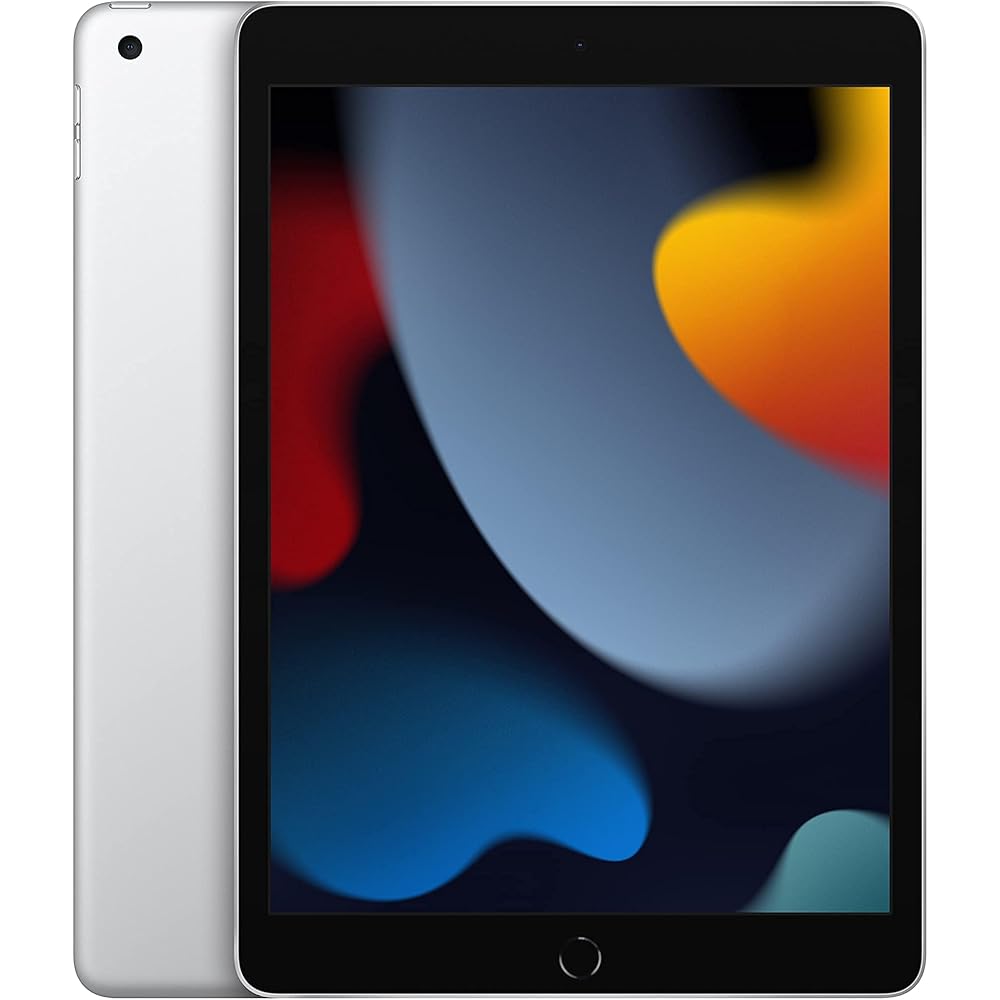 256GB, Silver