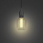 Feit Electric 25W Equivalent Dimmable Vintage Oversized E26 LED Light Bulb With Mesh Cage Acrylic Filament Matte Gold Soft White 2700K (CG/AYC/MG/927CA/HDRP)
