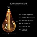 Feit Electric 25W Equivalent PS50 Dimmable Oversized Amber Glass E26 Vintage Edison LED Light Bulb Acrylic Filament Warm White 2100K (PS50/AYC/820/HDRP)