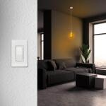 Feit Electric 25W Equivalent PS50 Dimmable Oversized Amber Glass E26 Vintage Edison LED Light Bulb Acrylic Filament Warm White 2100K (PS50/AYC/820/HDRP)