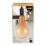 Feit Electric 25W Equivalent PS50 Dimmable Oversized Amber Glass E26 Vintage Edison LED Light Bulb Acrylic Filament Warm White 2100K (PS50/AYC/820/HDRP)