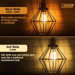 Feit Electric 40-Watt Equivalent ST19 Dimmable M Shape Filament Amber Glass E26 Vintage Edison LED Light Bulb, Warm White 2100K (ST1940/M/LED/HDRP)