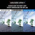 Feit Electric 15-Watt 8 in. T9 G10q Type A Plug and Play Linear Circline LED Tube Light Bulb, Selectable White (FC8/3CCT/LED)