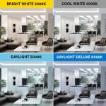 Feit Electric 16-Watt 3 ft. T8/12 G13 Type A Plug and Play Linear LED Tube Light Bulb, Bright White 3000K, 1 Bulb (T36/830/LEDG2/RP)