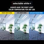 Feit Electric 15-Watt 6 in. T8 G13 Type AB Plug and Play and Ballast Bypass Linear U-Bend LED Tube Light Bulb, Selectable White (T848/3CCT/U6/LED)