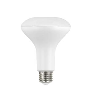 65-Watt Equivalent BR30 Dimmable Flood LED Light Bulb 2700K Soft White 6-Pack (A20BR3065WULD26)