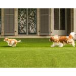 Lifeproof with Petproof Technology Premium Pet Turf 3.75 ft. x 9 ft. Green Artificial Grass Rug (LPPPET3759)