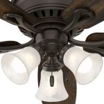 Hunter Oakhurst 52 in. LED Indoor Low Profile New Bronze Ceiling Fan with Light Kit (52016)
