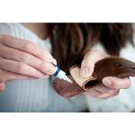 Loctite Super Glue 0.07 oz. Liquid Clear 2 Pack Tubes (each) (1399963)