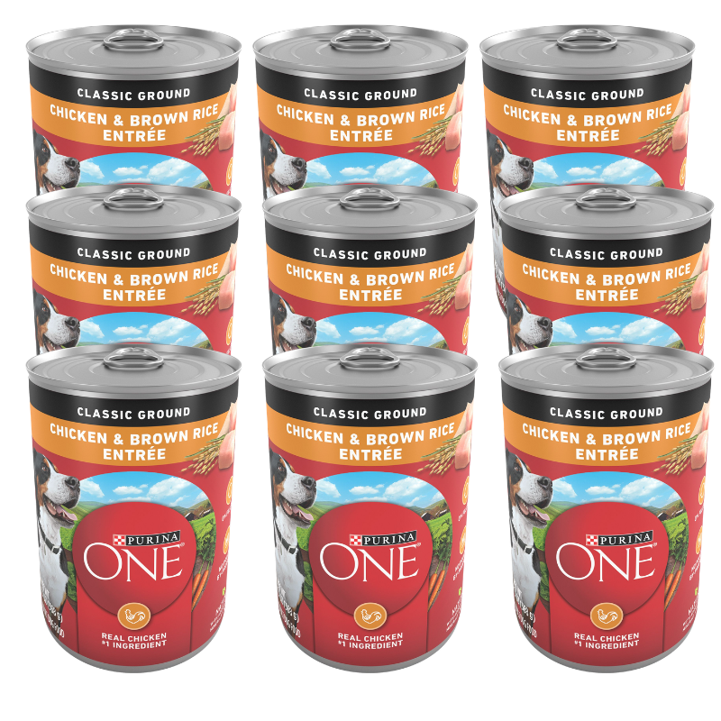 Purina ONE® SmartBlend Everyday Nutrition Adult Dog Wet Food - Natural