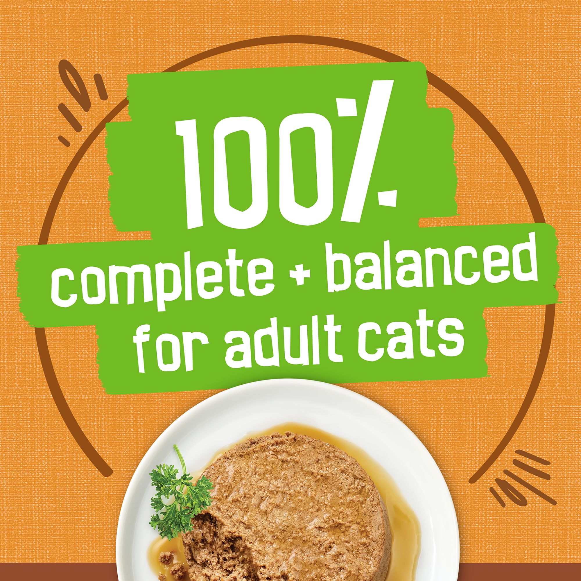 Purina® Friskies® Extra Gravy Adult Cat Wet Food - Chicken - Image 6