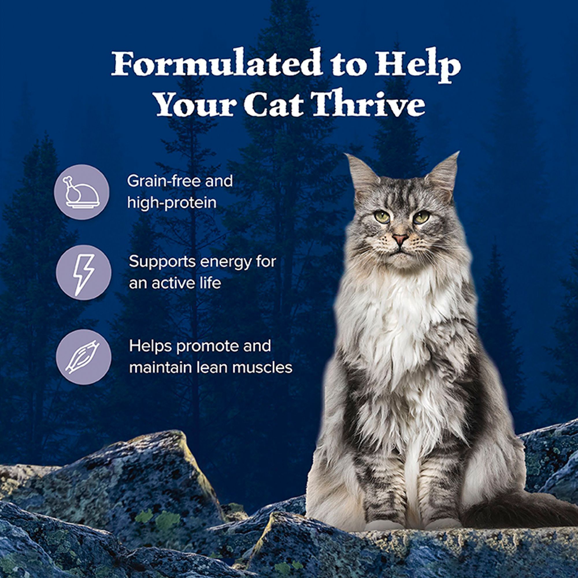 Blue Buffalo® Wilderness&trade;  Adult Wet Cat Food - Grain Free, Pate, - Chicken - Image 5
