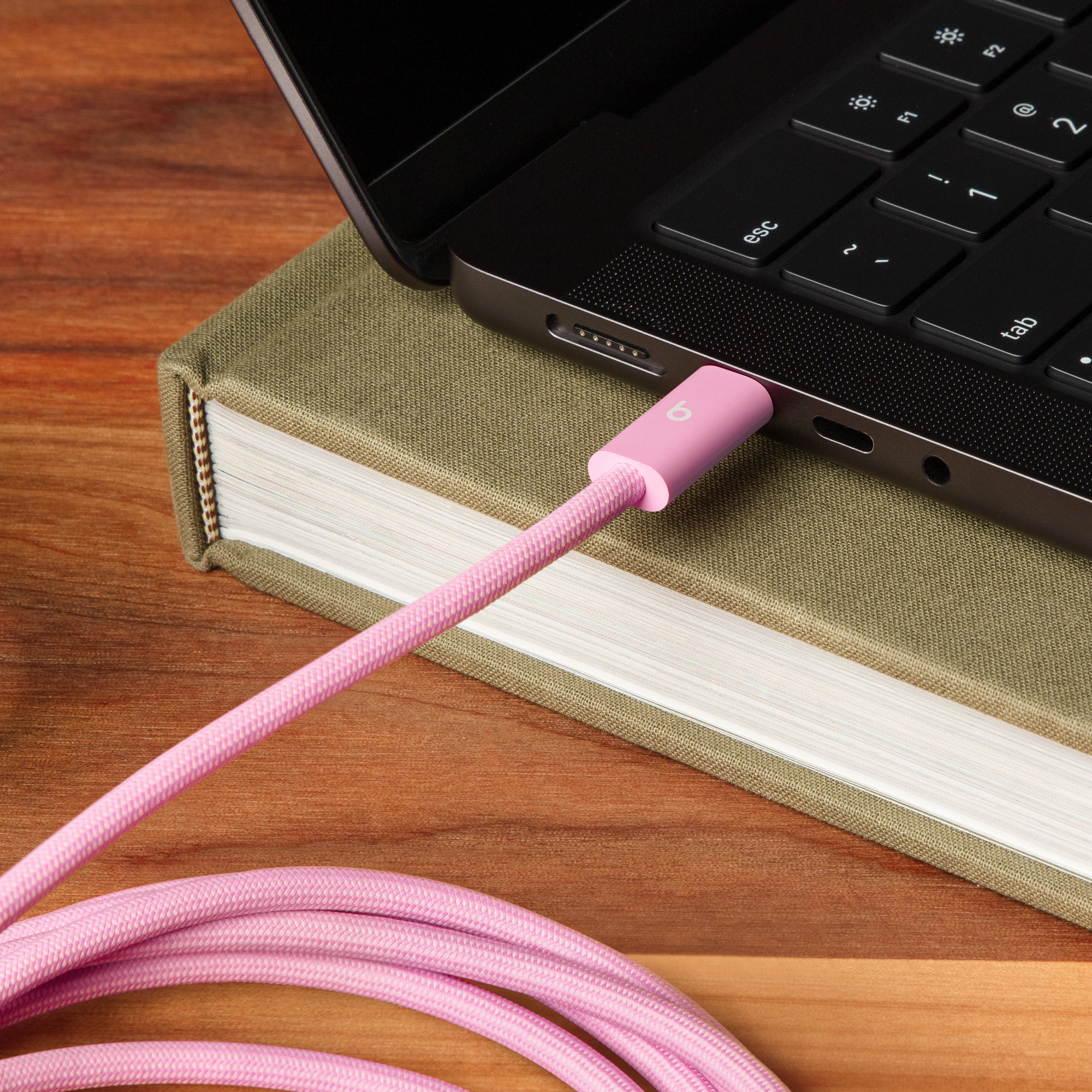 Beats USB‑C to USB‑C Woven Cable (3 m / 10 ft) - Image 3
