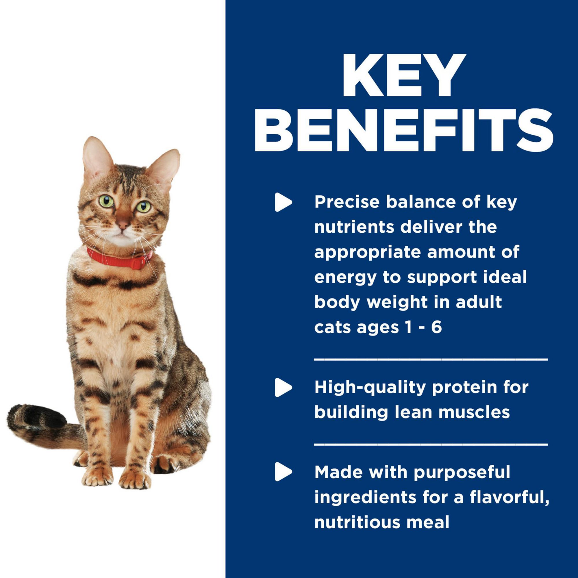Hill's Science Diet Healthy Cuisine Cat Food - Salmon & Spinach Medley - Image 6