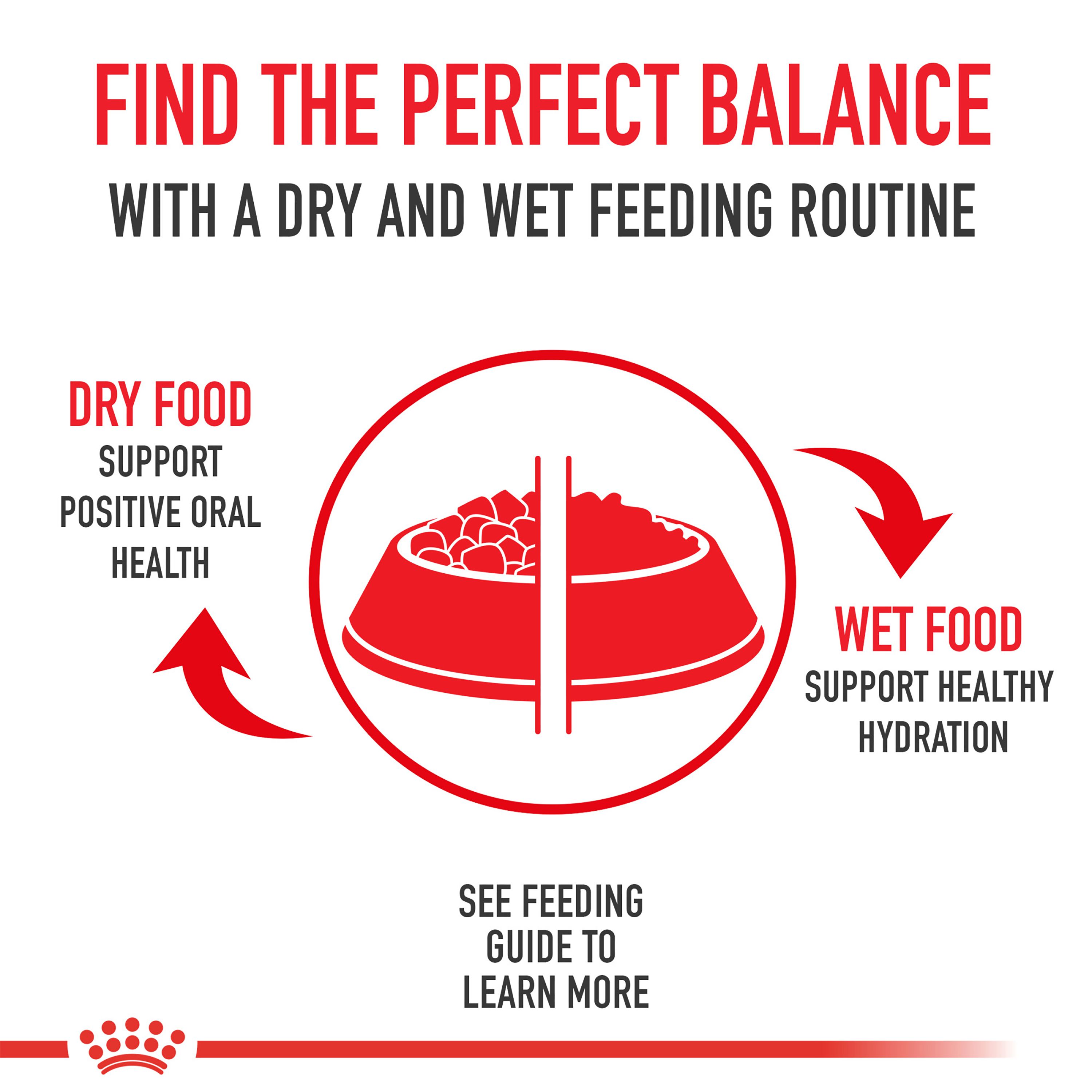 Royal Canin® Feline Care Nutrition Urinary Care Adult Cat Wet Food - Image 11