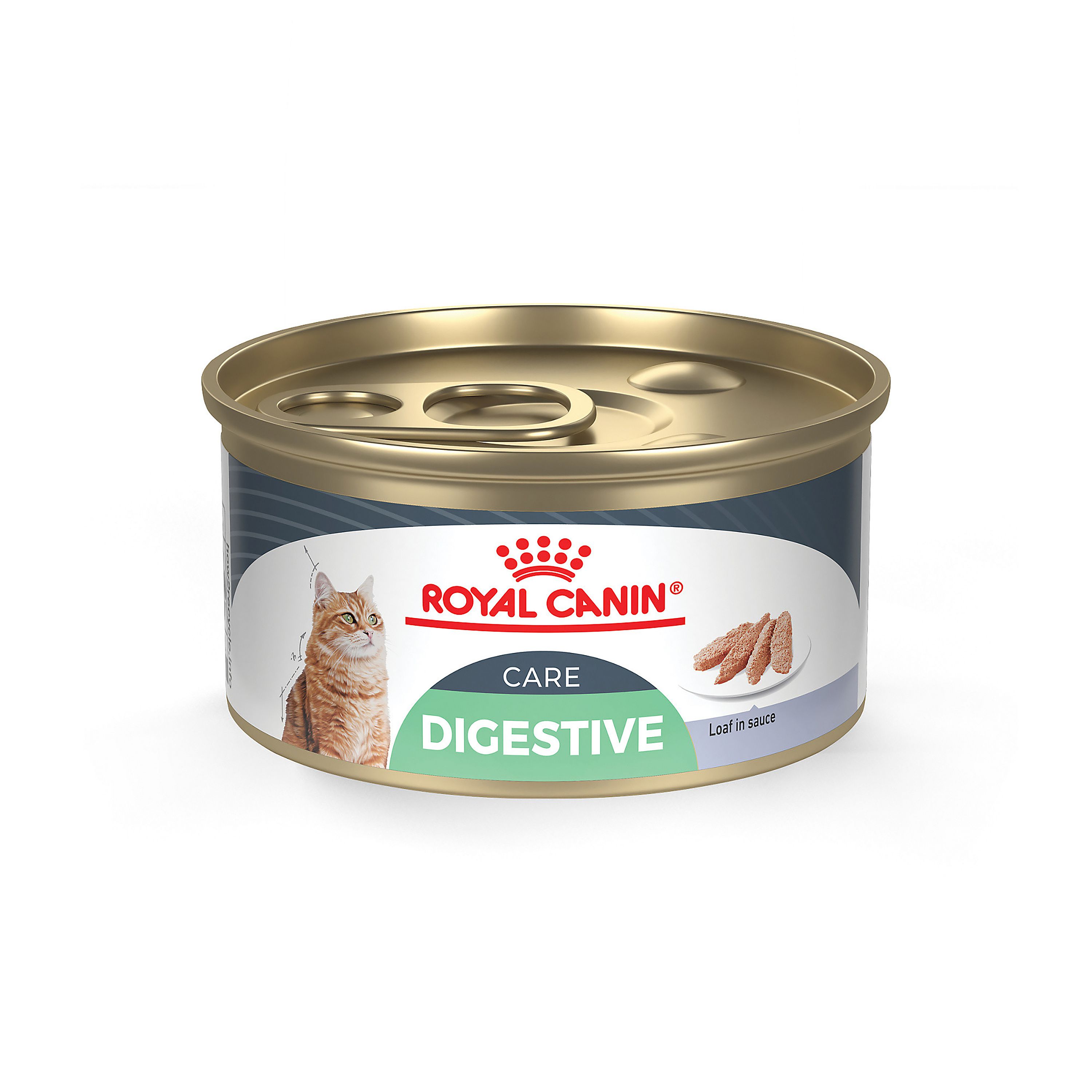 Royal Canin® Feline Care Nutrition Digestive Care Adult Cat Wet Food - Image 2