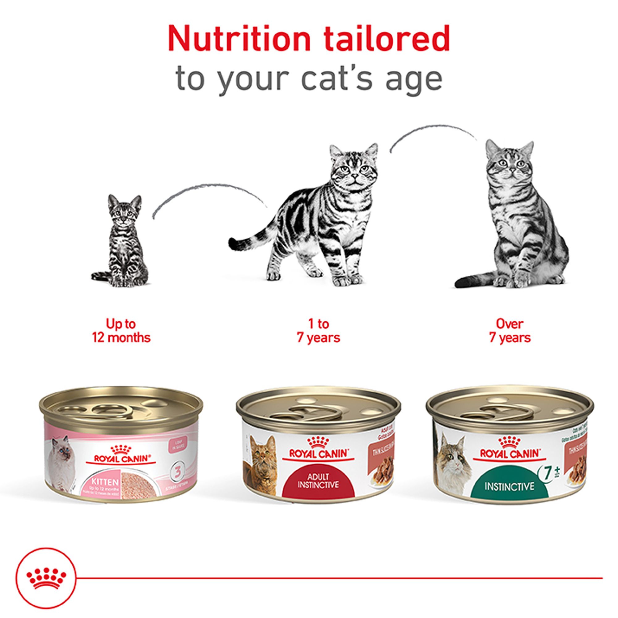 Royal Canin® Feline Health Nutrition Adult Instinctive Wet Cat Food - Thin Slices in Gravy - Image 5