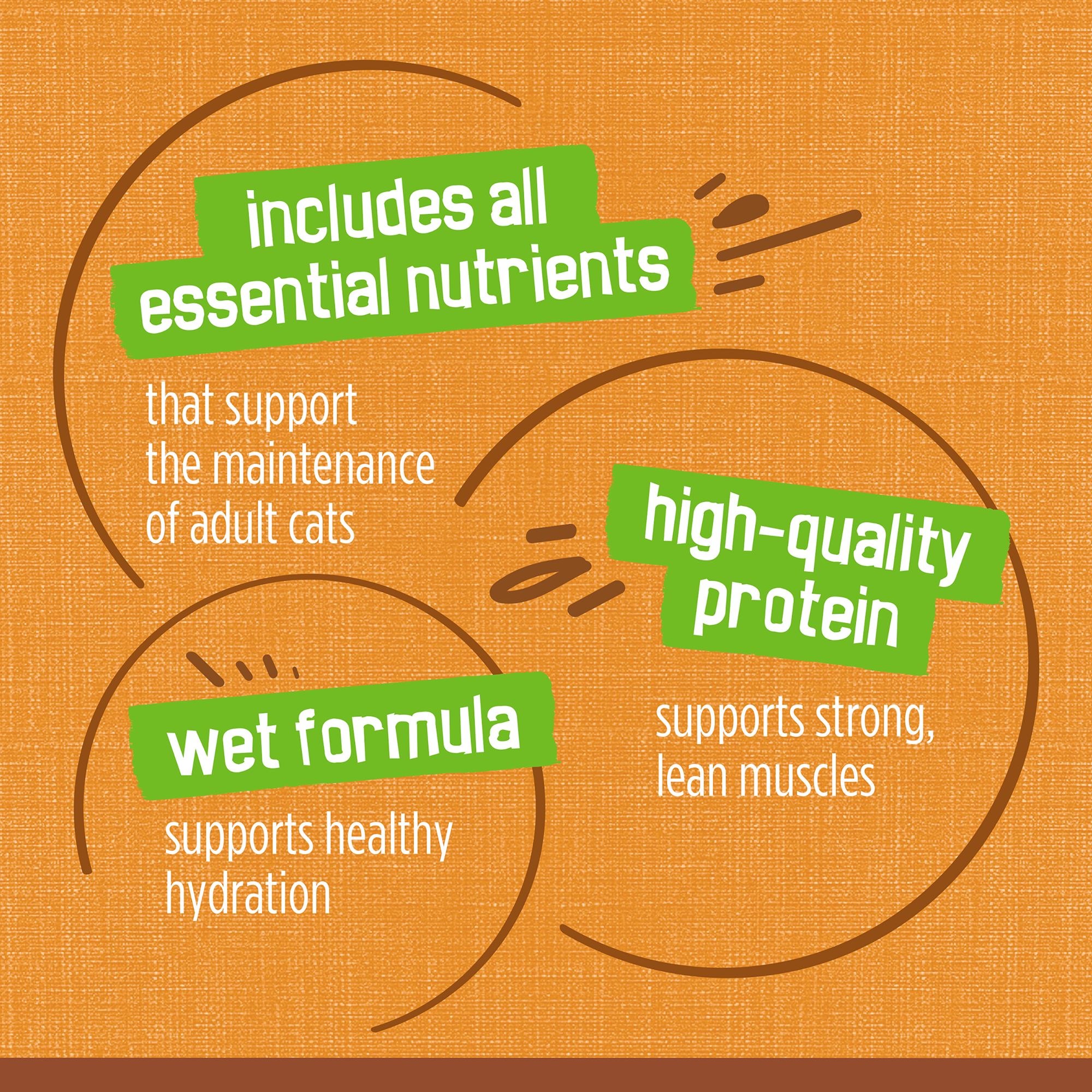 Purina® Friskies® Extra Gravy Adult Cat Wet Food - Chicken - Image 8