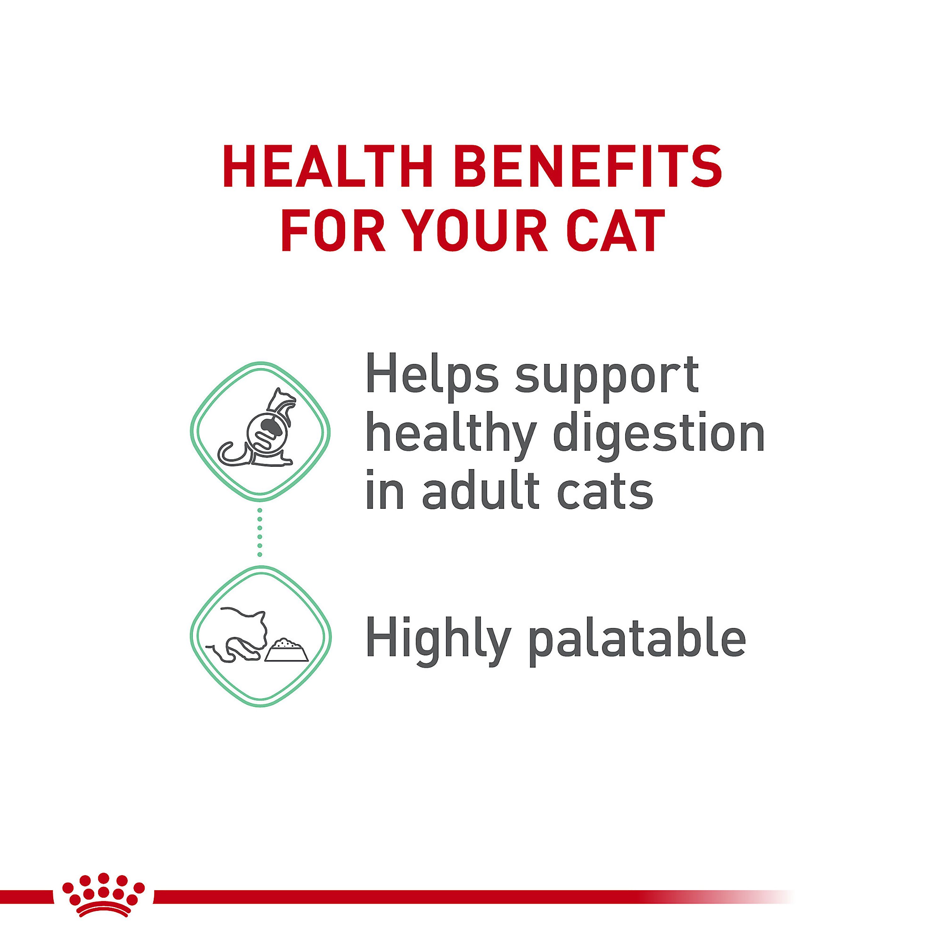 Royal Canin® Feline Care Nutrition Digestive Care Adult Cat Wet Food - Image 5