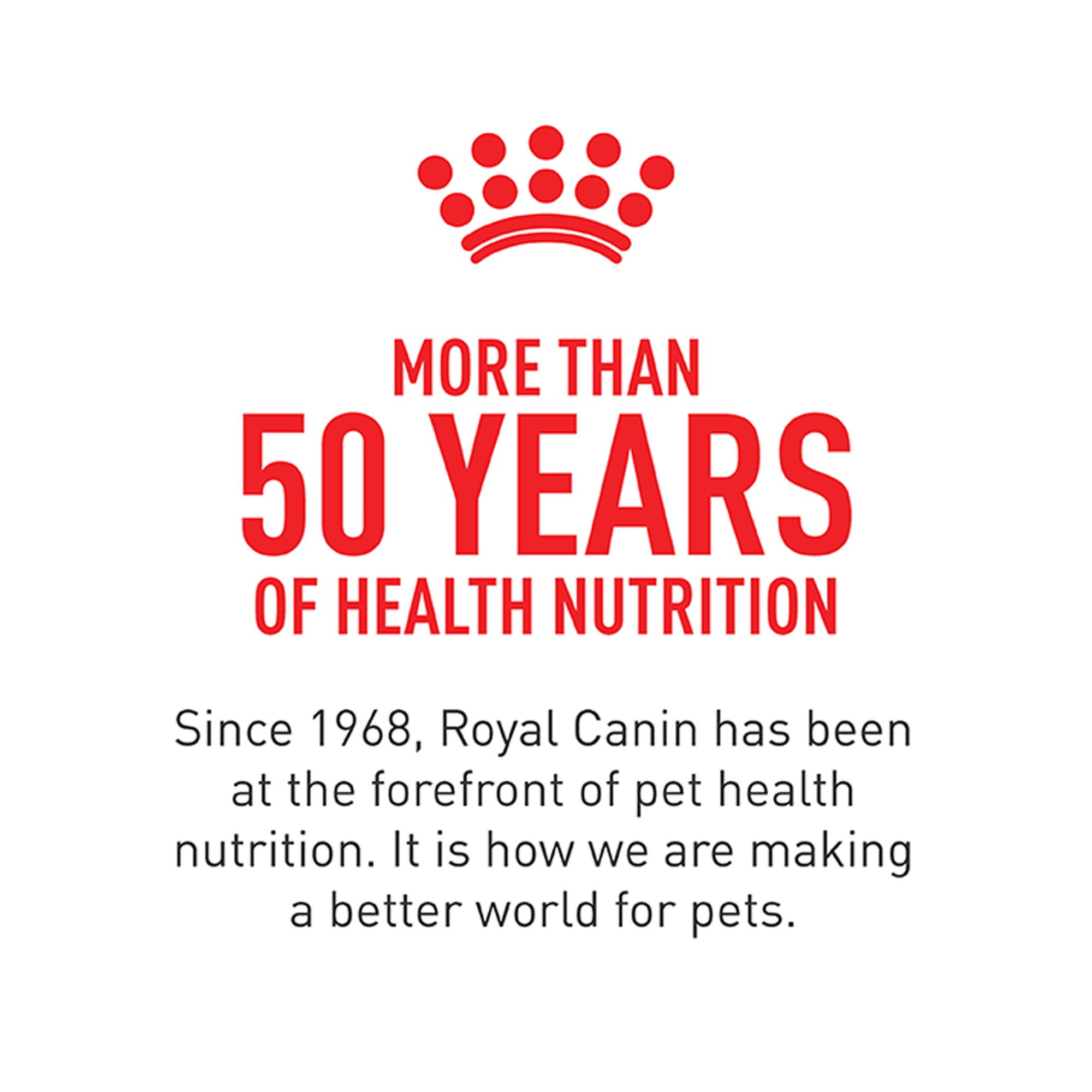 Royal Canin® Feline Health Nutrition Adult Instinctive Wet Cat Food - Thin Slices in Gravy - Image 8